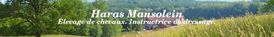 Haras Mansolein